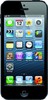 Apple iPhone 5 32GB - Одинцово